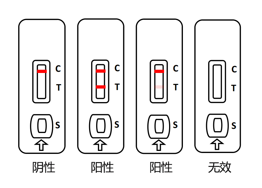 结果判断图.jpg 马流产沙门氏菌病抗体快速检测卡