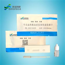 B018牛出血性敗血症抗體快速檢測卡說明書