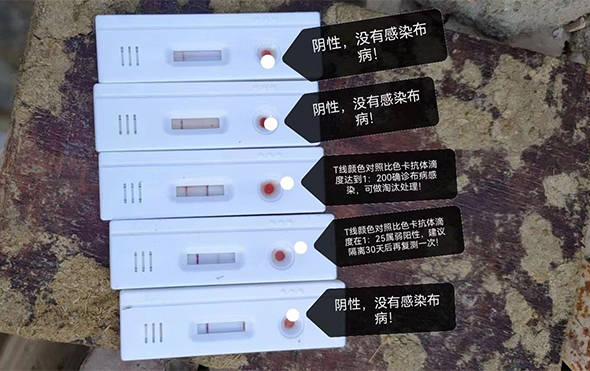未标题-1.jpg