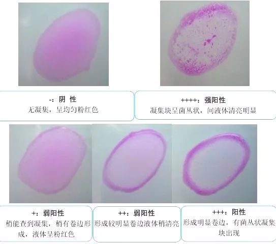 1672709356274142.jpg 微信图片_20230103092605.jpg