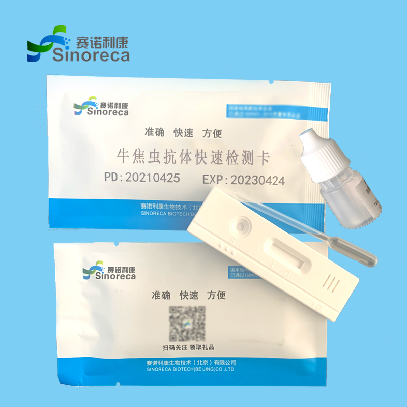 1719215249910793.jpg 牛得了焦虫病有什么症状,如何快速诊断?