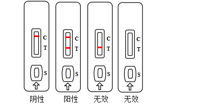 1634797135290274.png 1.png