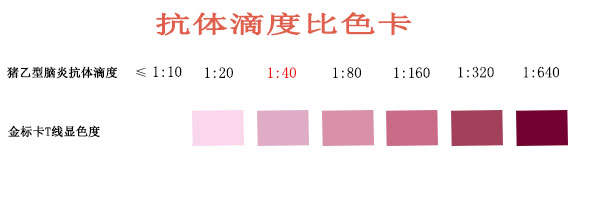 猪乙型脑炎.jpg
