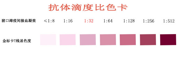 口蹄疫.jpg