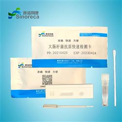 B041大肠杆菌抗原检测试纸条