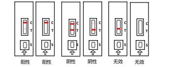 牛早孕.jpg 牛早孕.jpg